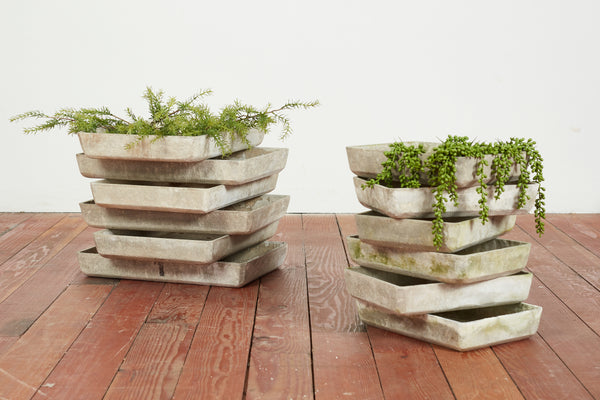 Willy Guhl Tray