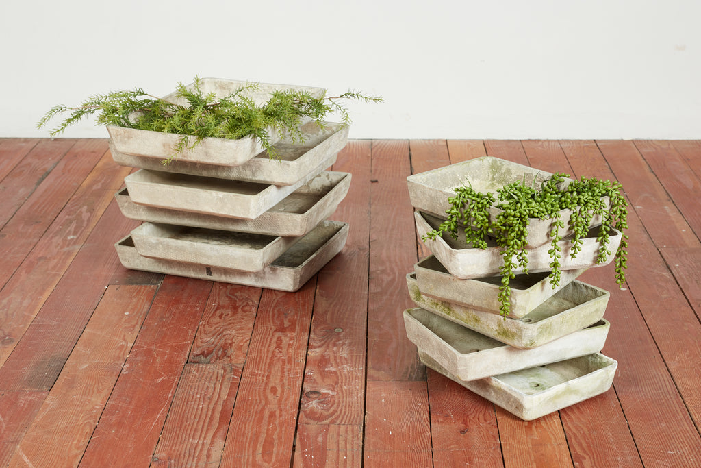 Willy Guhl Tray