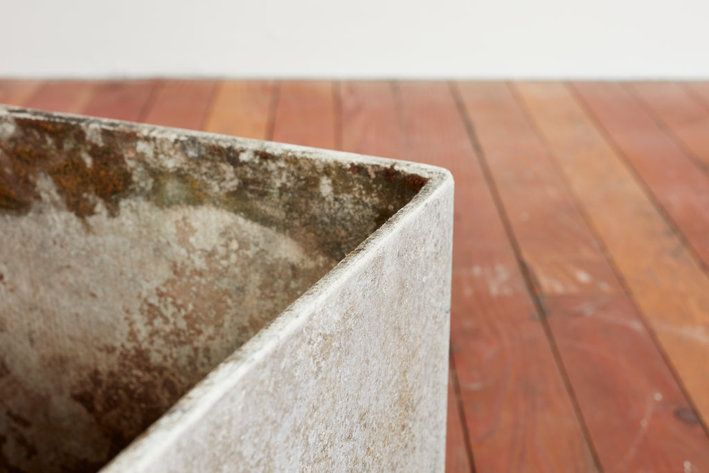 Large Rectangular Willy Guhl Planters