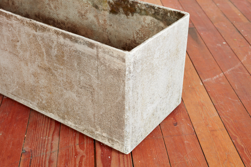 Large Rectangular Willy Guhl Planters