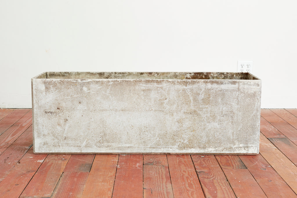 Large Rectangular Willy Guhl Planters