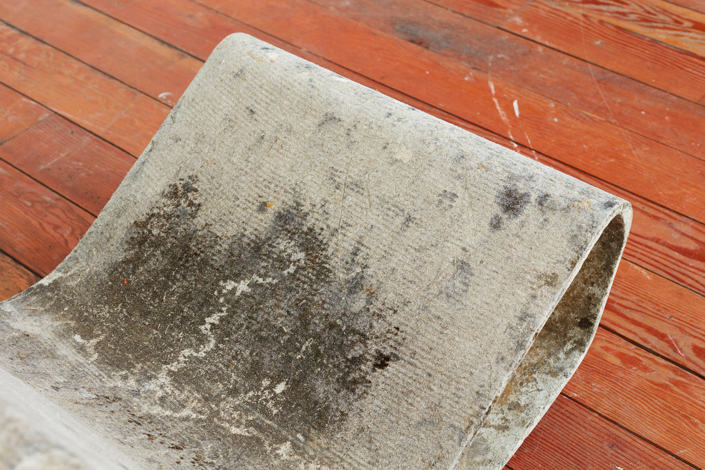 Willy Guhl Loop Chair