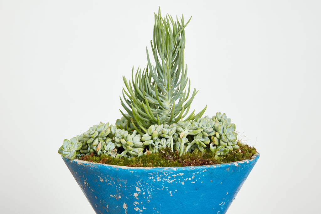 Willy Guhl Hourglass Pots