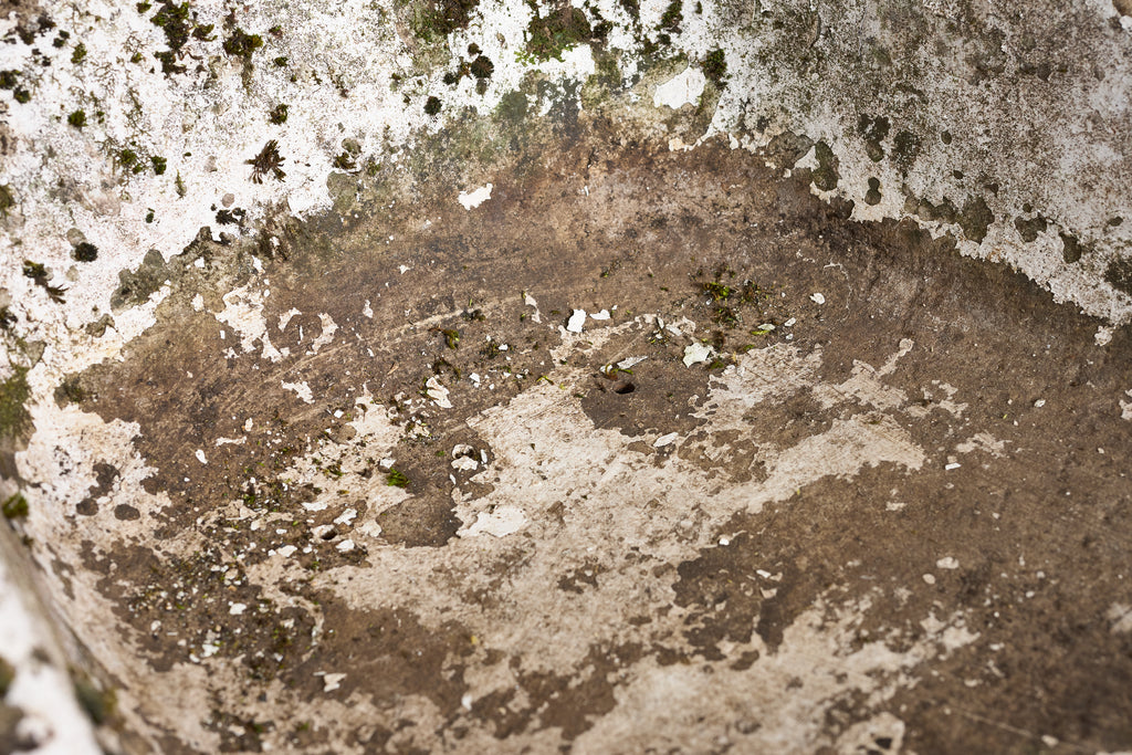 Willy Guhl Concrete Chair