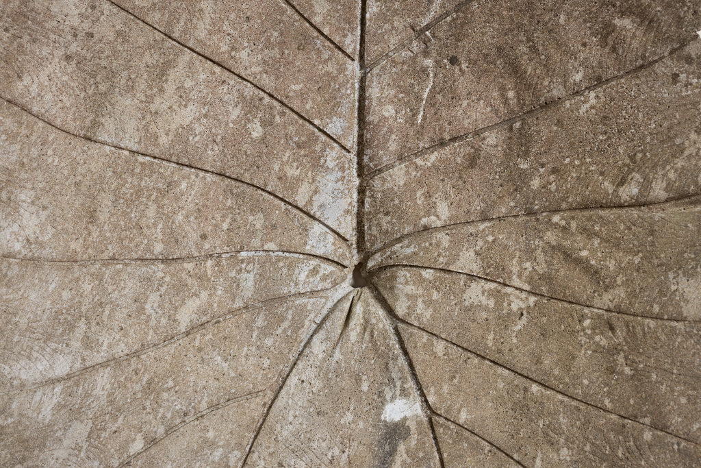 Large Concrete Leaf in the style of Willy Guhl