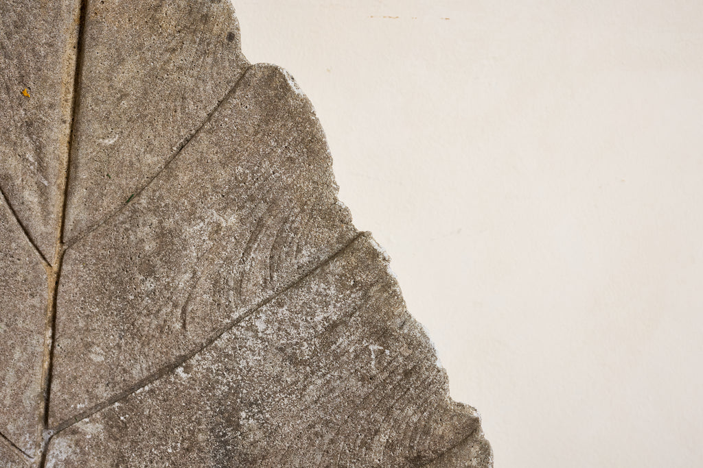 Large Concrete Leaf in the style of Willy Guhl