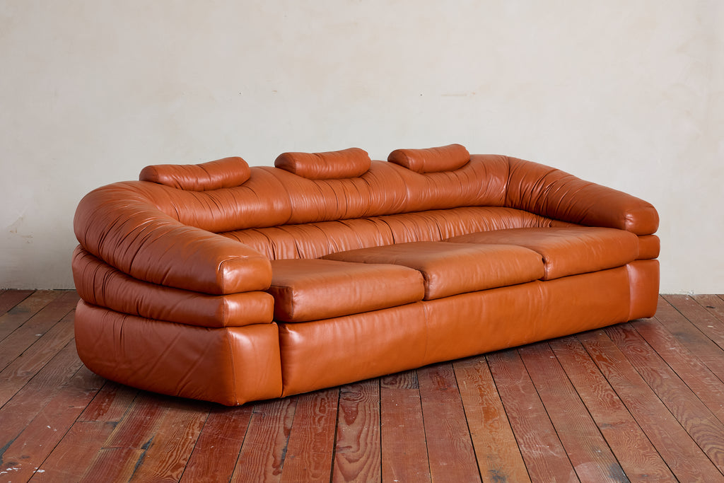 Leather Sofa by De Pas, D'urbino, Lomazzi