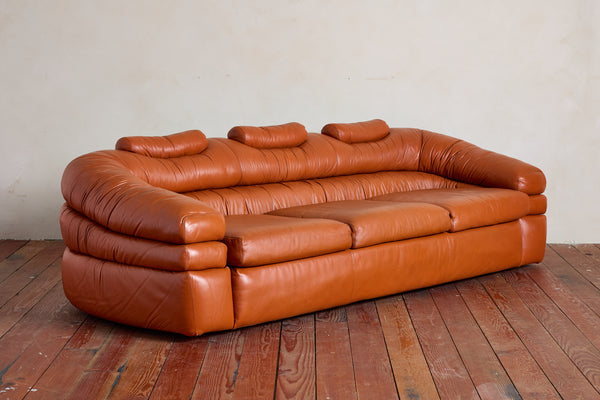 Leather Sofa by De Pas, D'urbino, Lomazzi