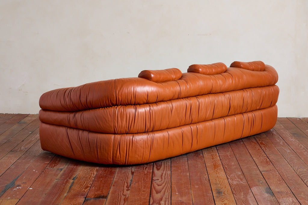 Leather Sofa by De Pas, D'urbino, Lomazzi