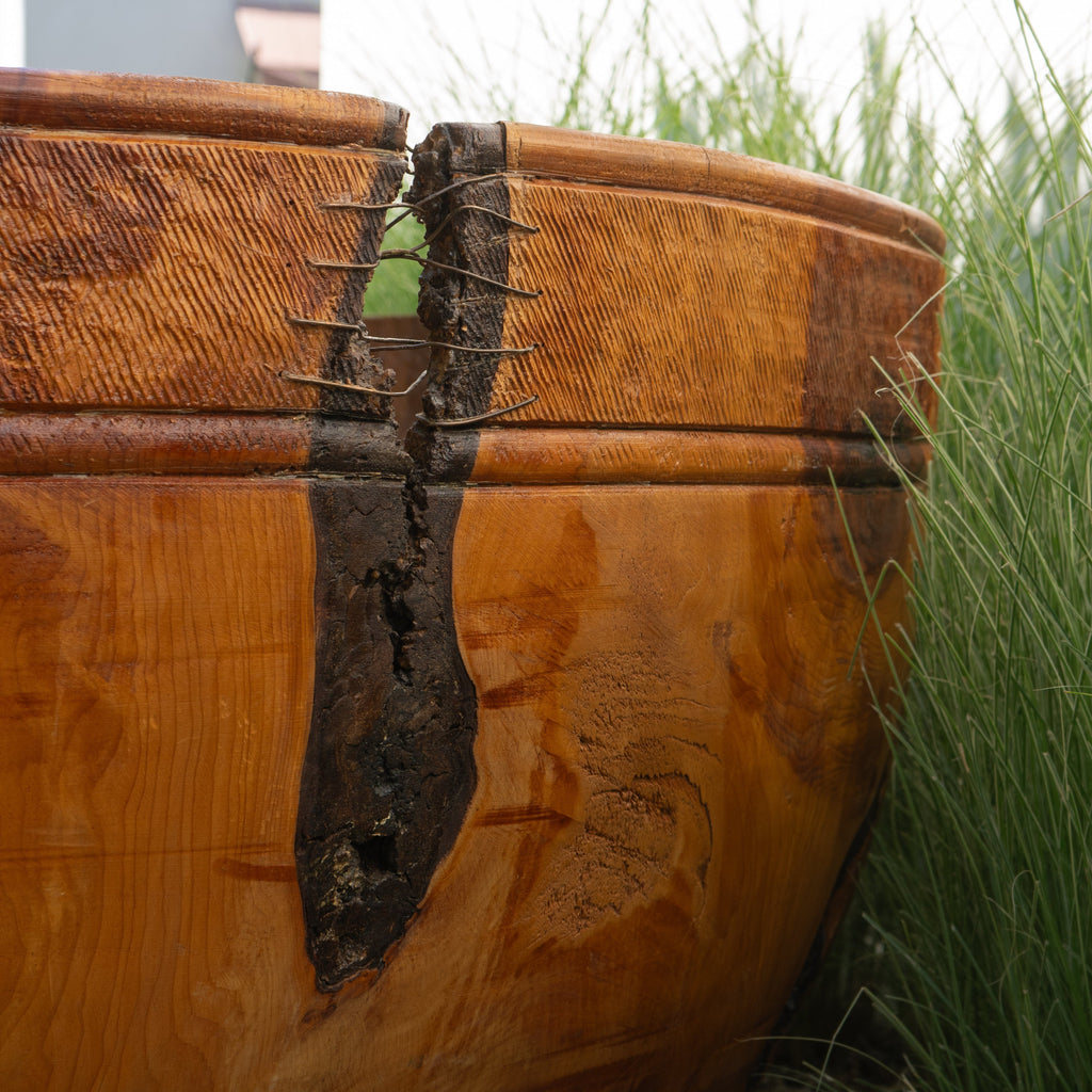 Massive Wood Turned Bowl - Five Feet Diameter