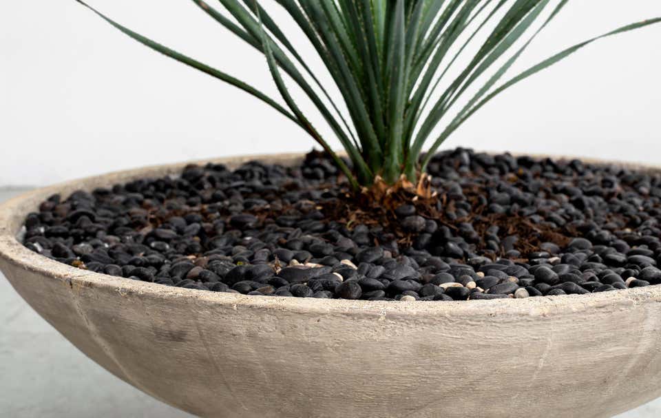 Willy Guhl Concrete Planter with Stand