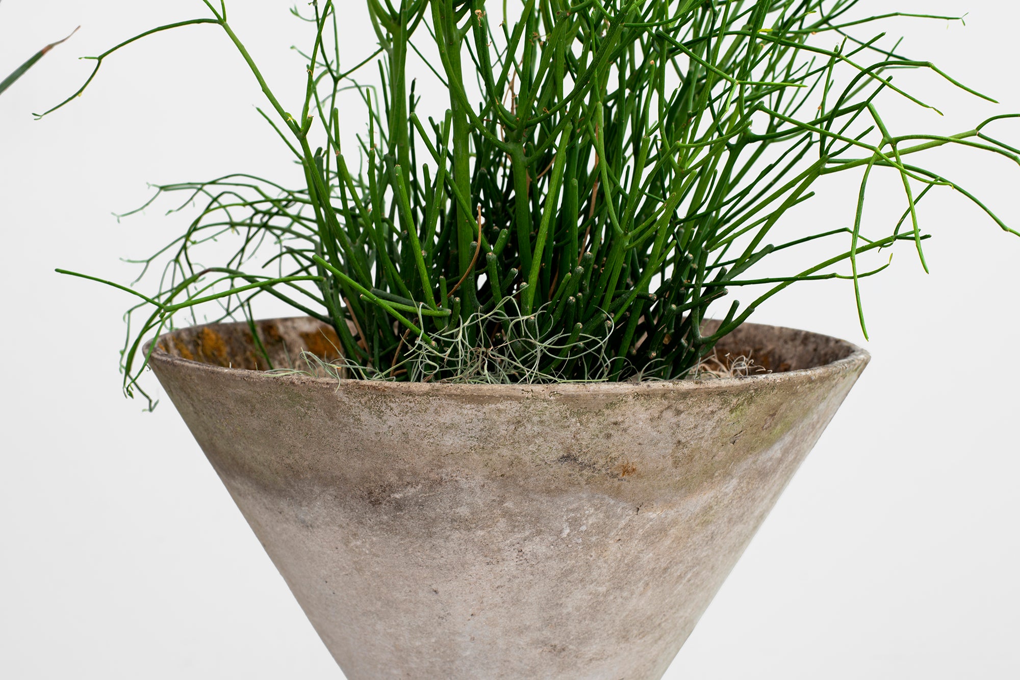hourglass plant pot Willy Guhl Hourglass Planter