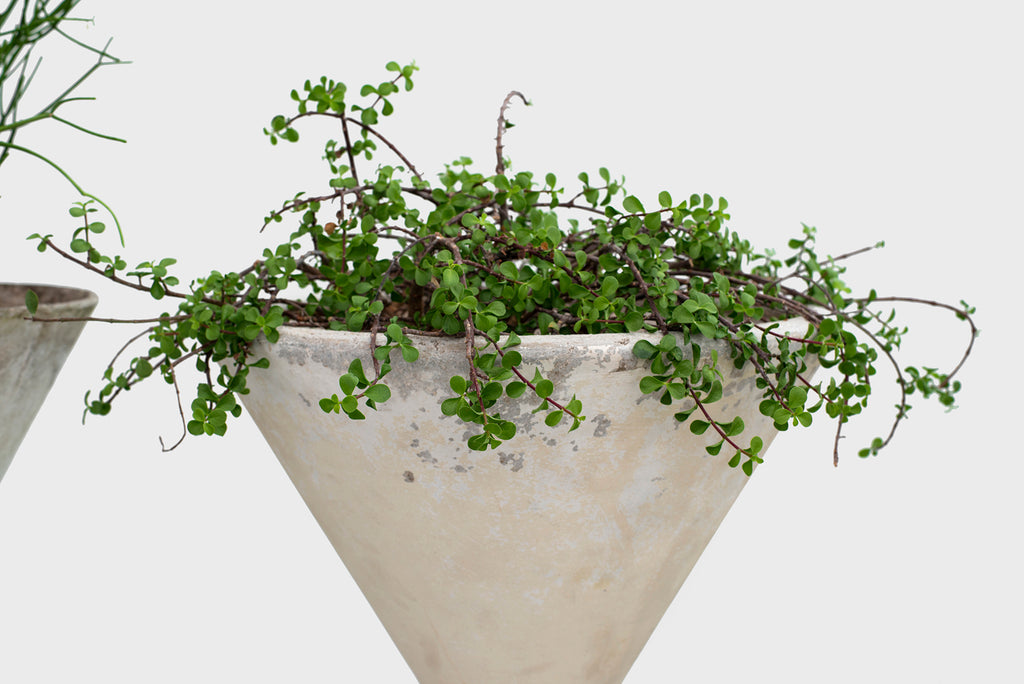 Willy Guhl Hourglass Planter - 37.5"