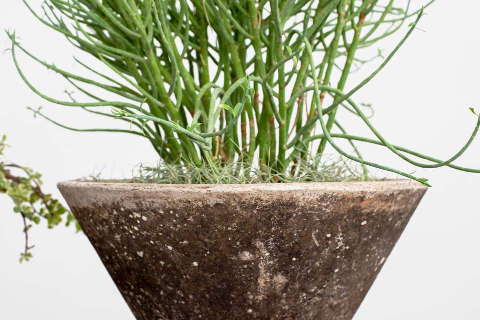 Willy Guhl Planters - 31.5"