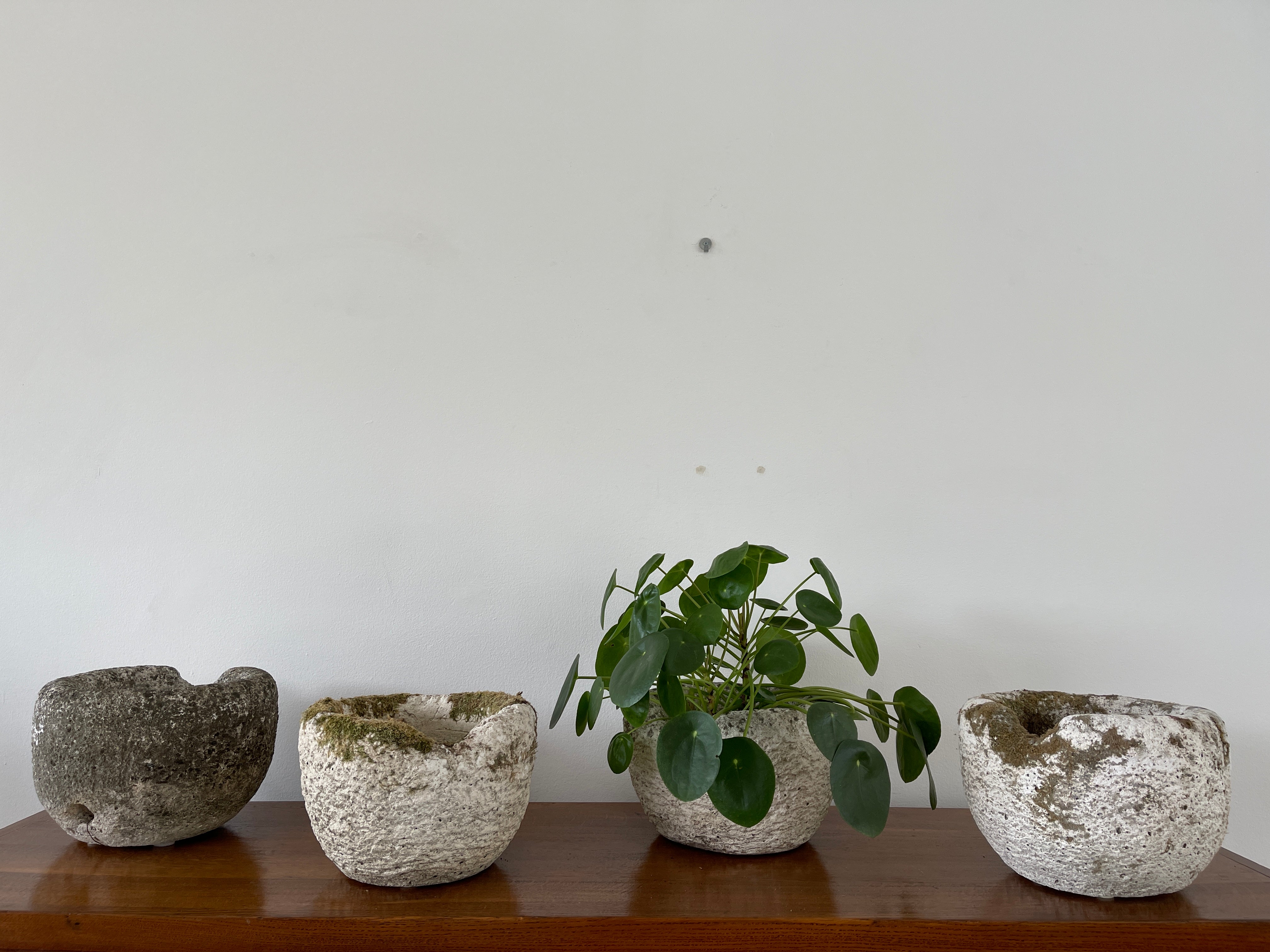 plant pots los angeles Concrete Foundry Pots – Orange Furniture Los Angeles